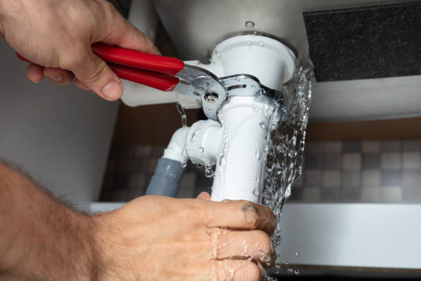 Best Residential water damage restoration  in Trempealeau, WI