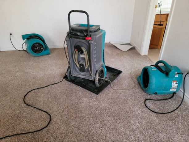 Best Sewage cleanup and water damage restoration  in Trempealeau, WI