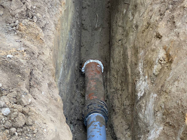 Best Emergency water damage restoration  in Trempealeau, WI