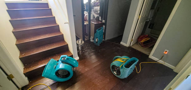 Best Ceiling water damage repair  in Trempealeau, WI