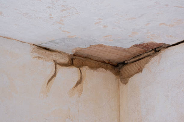 Sewage cleanup and water damage restoration in Trempealeau, WI