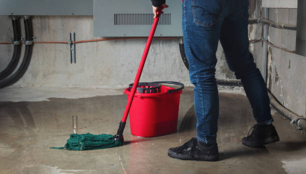 Best Emergency water damage restoration  in Trempealeau, WI