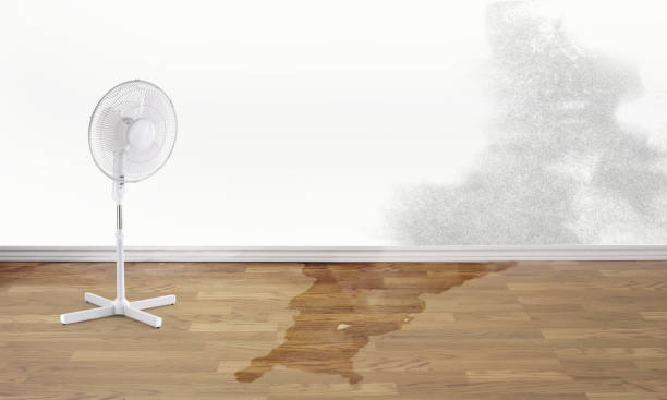 Carpet water damage restoration in Trempealeau, WI