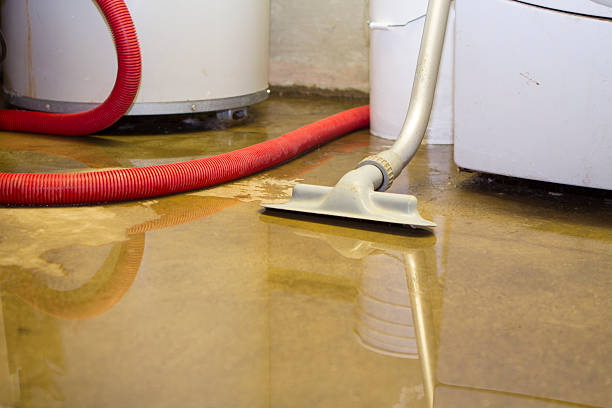 Best Water damage restoration company  in Trempealeau, WI