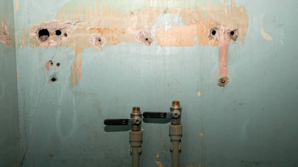 Best Flood damage cleanup  in Trempealeau, WI