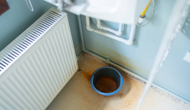 Best Carpet water damage restoration  in Trempealeau, WI