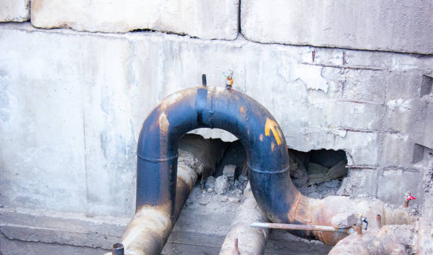 Best Water damage contractors near me  in Trempealeau, WI