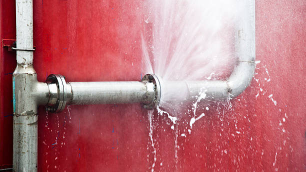 Best Water damage restoration near me  in Trempealeau, WI
