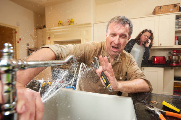 Best Basement water damage restoration  in Trempealeau, WI